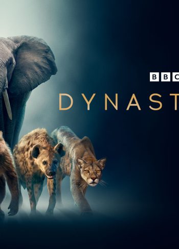 Dynasties II