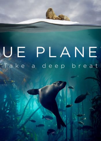 Blue Planet II