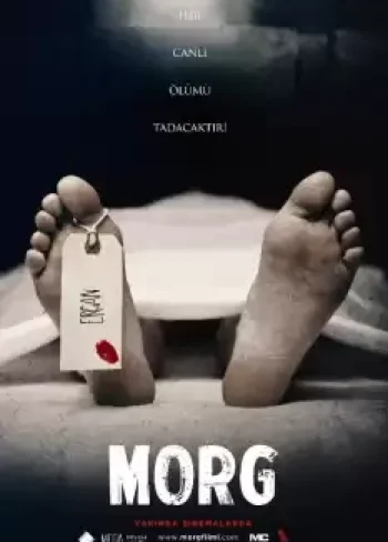 Morg