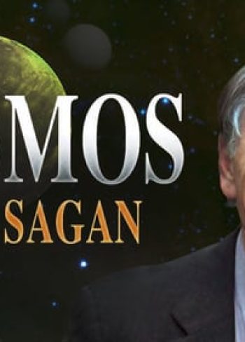 Cosmos