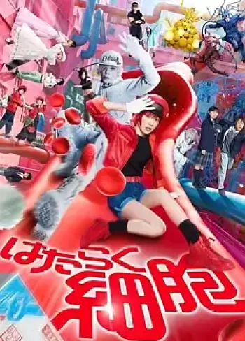 Cells At Work!