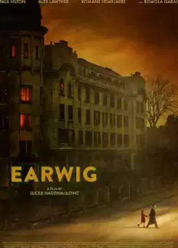 Earwig