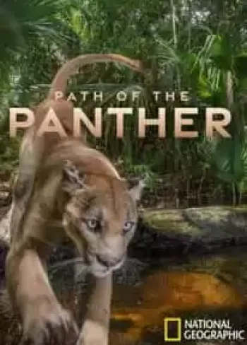 Path of the Panther