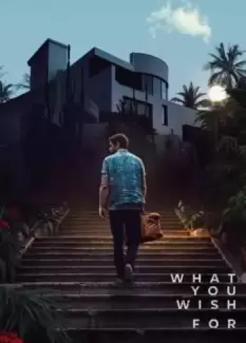 What You Wish For